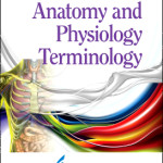 PROP – Anatomy and Physiology Terminology
