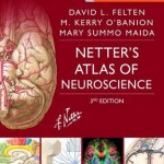 Netter’s Atlas of Neuroscience, 3rd Edition