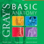 Gray's Basic Anatomy, 2nd Edition