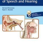 Anatomy and Physiology of Speech and Hearing