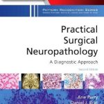 Practical Surgical Neuropathology: A Diagnostic Approach : A Volume in the Pattern Recognition Series