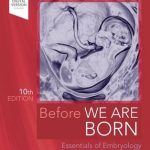 Before We Are Born : Essentials of Embryology and Birth Defects