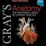 Gray’s Anatomy : The Anatomical Basis of Clinical Practice