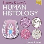Stevens & Lowe’s Human Histology – E-Book
